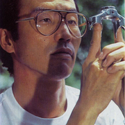 yoshi.jpg