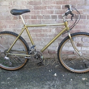 1985.jpg