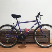 1991.jpg