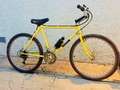 1982.jpg