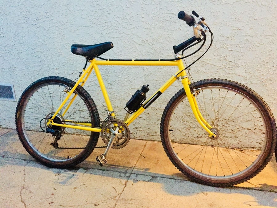 1982.jpg