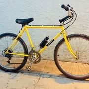 1982.jpg
