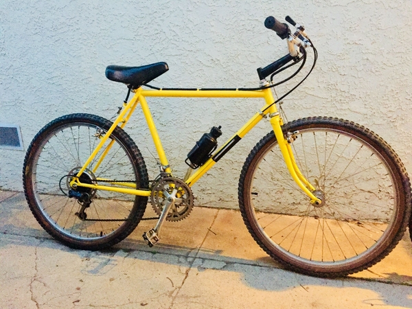1982 Muddy Fox