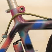 salsa1984b.jpg