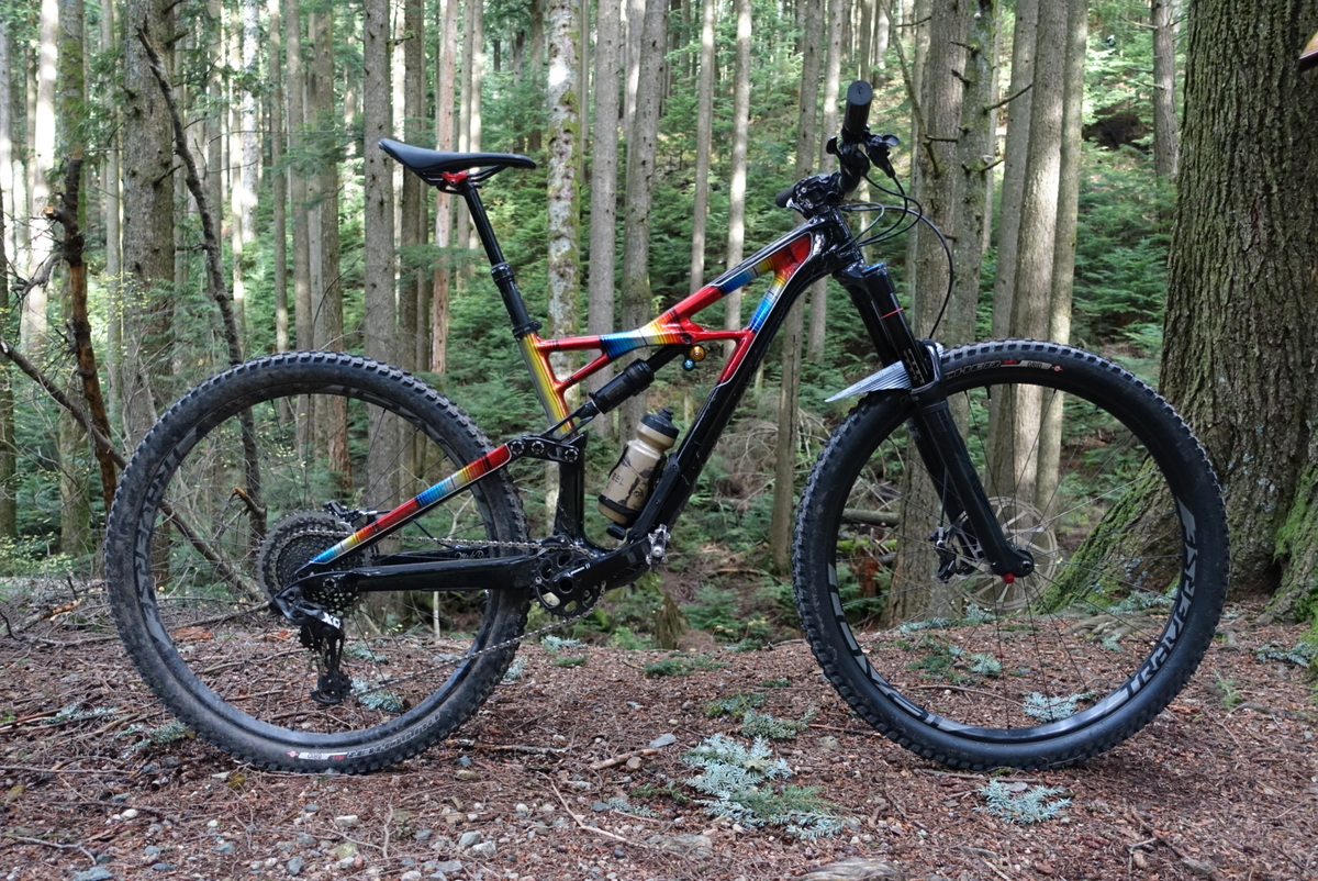 Specialized Enduro, paint by Made Rad
