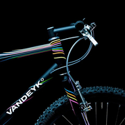vandeyk.jpg