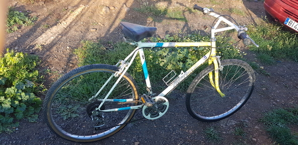 1987 Force 12