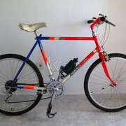 1989.jpg