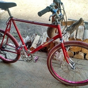 1982.jpg