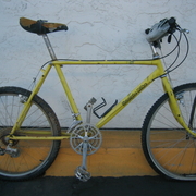 1984.jpg
