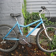 1987.jpg