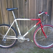 1991.jpg