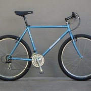 1993.jpg