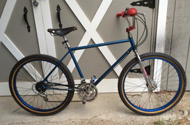 1980 Bruiser
