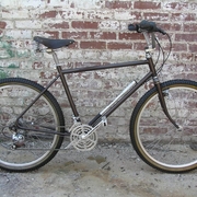 1981.jpg
