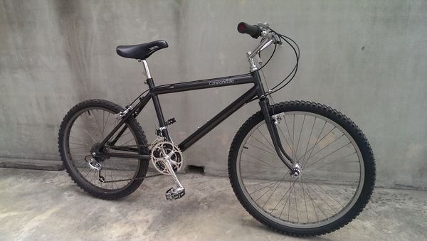 1984 SM-500