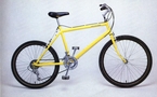 1985.jpg