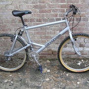 1991.jpg