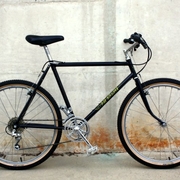 1982.jpg