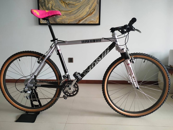 1993 Argento Vivo 
