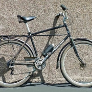 1982.jpg