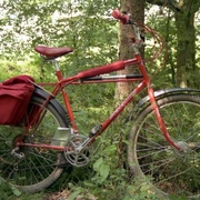 1984.jpg