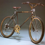 1983.jpg