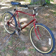 1984.jpg