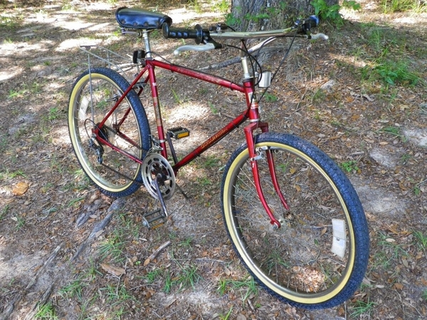 1984 Trailmaster 