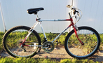 Processed By eBay with ImageMagick, z1.1.0. ||B2
