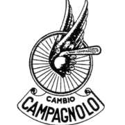 campy.jpg