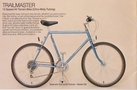 cat83.jpg