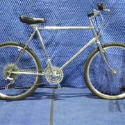 1986.jpg