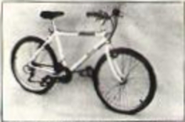 1987.jpg