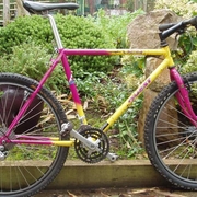 1989.jpg