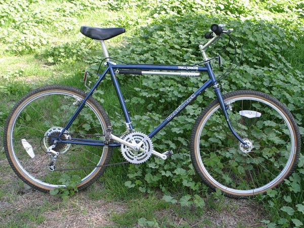 1984 Trail Streak