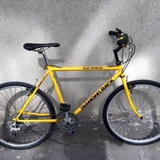 1989.jpg