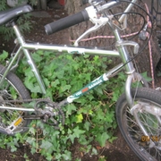 1985.jpg