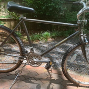 1986.jpg