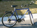 1991.jpg