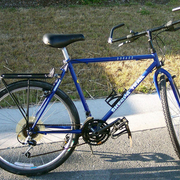 1991.jpg