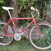 1986.jpg