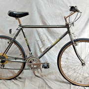 1984.jpg