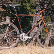 1984.jpg