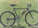 1986.jpg