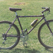 1986.jpg