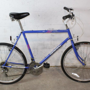 1987.jpg