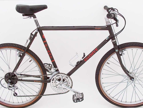 1984 Escaper 