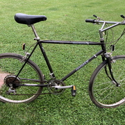 1986.jpg