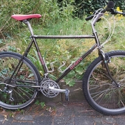1988.jpg